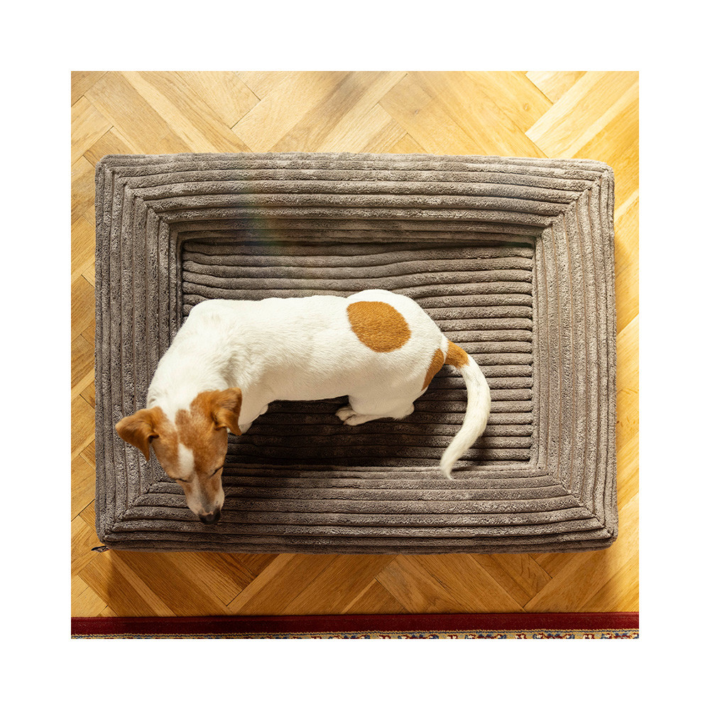 EXPLORER DOG Pelech ortopedický Cloud S 80x60