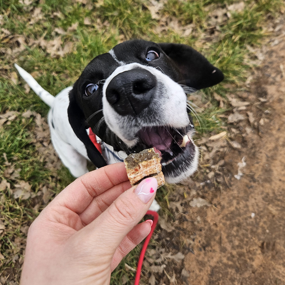 FISH4DOGS Pamlsky pro psy LOVE s lososem - kostky 85 g