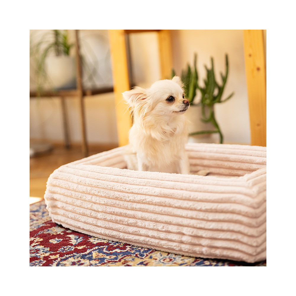 EXPLORER DOG Pelech ortopedický Cloud XS 60x40