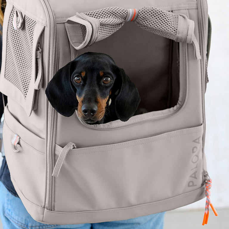 PALOPA Carrier Backpack Kari M