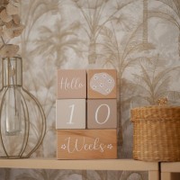 LABEL LABEL Milníkové kostky