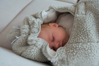 LODGER Wrapper Teddy Zavinovačka