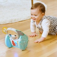 BABY EINSTEIN Hračka hudební interaktivní Chase & Tap Earl™ 6m+