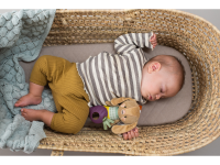 TAF TOYS Králíček