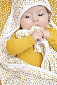 MEYCO Osuška Basic jersey 2 balení Cheetah