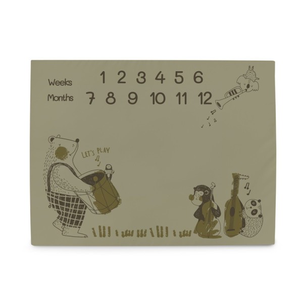 CEBA Podložka milníková na focení (92x72) - Basic Band