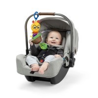 BABY EINSTEIN Hračka s chrastítkem natahovací na C kroužku Cal-a-Puller™ 0m+