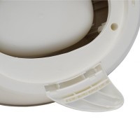 BO JUNGLE Nočník Dolphin