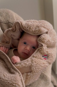 LODGER Wrapper Teddy Zavinovačka