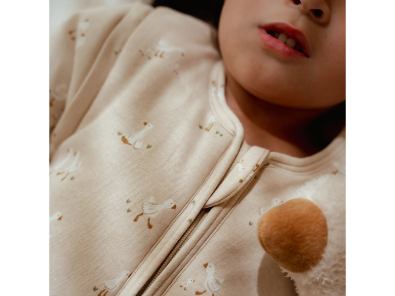 LITTLE DUTCH Spací pytel s oddělitelnými rukávy Husa