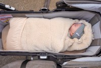 LODGER Wrapper Teddy Zavinovačka