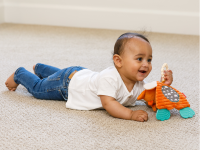 INFANTINO Muchláček Lišák s kousátky