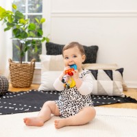 BABY EINSTEIN Kousátko s chrastítkem zebra Zen™ Shake-a-Shape bez BPA 0m+