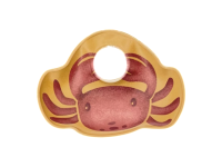 LITTLE DUTCH Rybářská sada do koupele