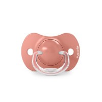 SUAVINEX Dudlík SX PRO fyziologický BIRDIES +18m 2 ks