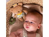 TAF TOYS Medvídek Brendon