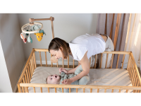 TINY LOVE Kolotoč dřevěný Garden of Adventures