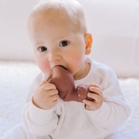 TIKIRI Dinos - kaučukové zvířátko z přírodní gumy