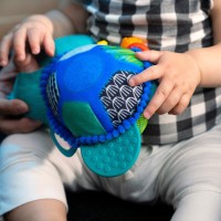 BABY EINSTEIN Hračka aktivní na C kroužku želva Neptune’s Sensory Sidekick™ 0m+