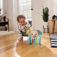 BABY EINSTEIN Hračka hudební interaktivní Chase & Tap Earl™ 6m+