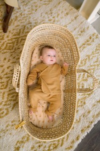 LODGER Jogger Nomad Rib Birch tepláčky