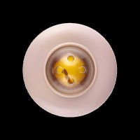 CANPOL BABIES Chrastítko s kousátkem senzorické