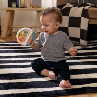 BABY EINSTEIN Hračka hudební tamburína Tap & Shake™ 6m+